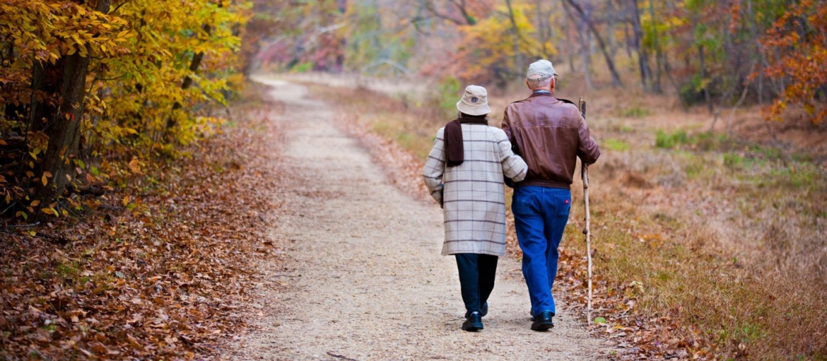 Succession avec usufruit : qui hérite et quels droits de succession ?