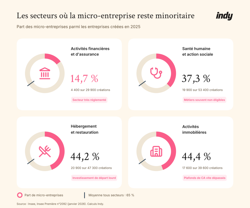Secteurs où la micro-entreprise reste minoritaire en 2025