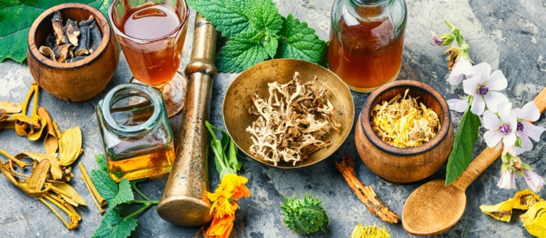 La comptabilité d'un naturopathe : les obligations à respecter !