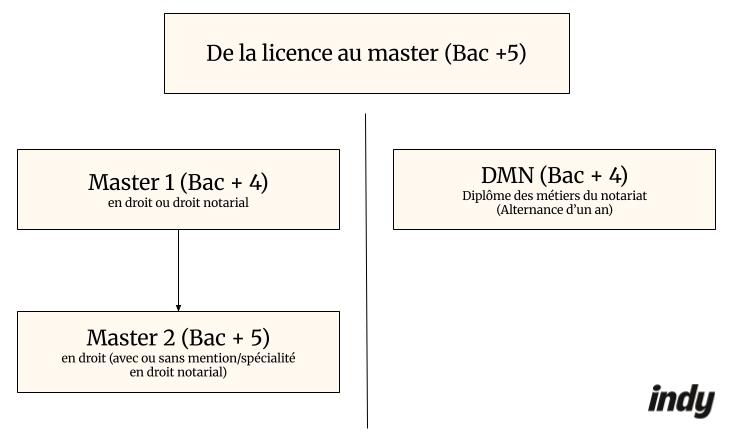 Devenir notaire de la licence au master