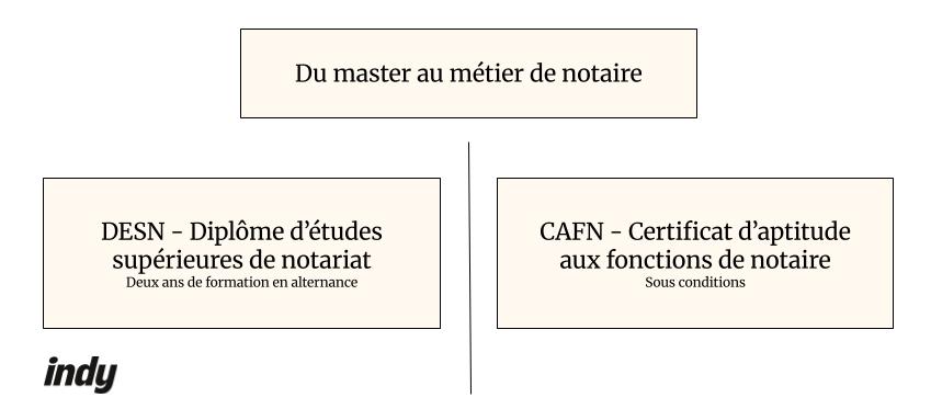 comment devenir notaire : master au métier de notaire