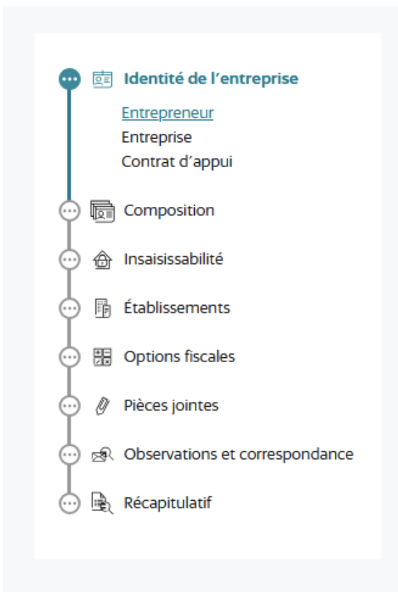 L'onglet indentité de l'entreprise du formulaire P0i