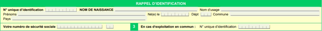 La section 2 du formulaire P2-P4i