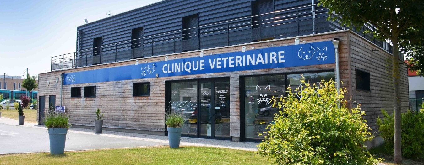 Clinique vétérinaire, 