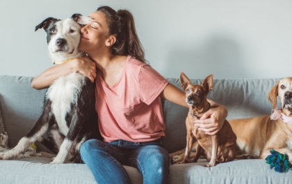 Comment devenir pet sitter ? Etapes, statuts juridiques et revenus