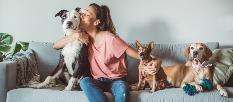 comment devenir pet sitter : les étapes