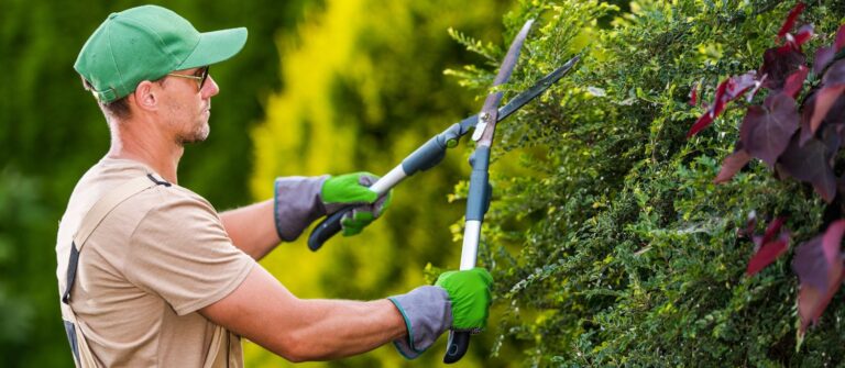 la comptabilité du paysagiste