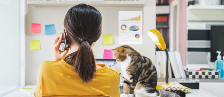 Tout savoir sur la comptabilité des EURL