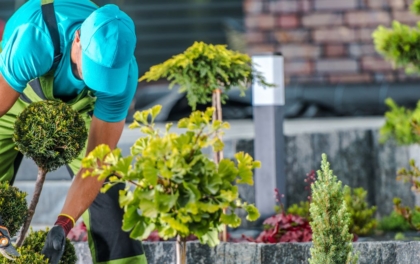 Comment devenir paysagiste en 2026 ?