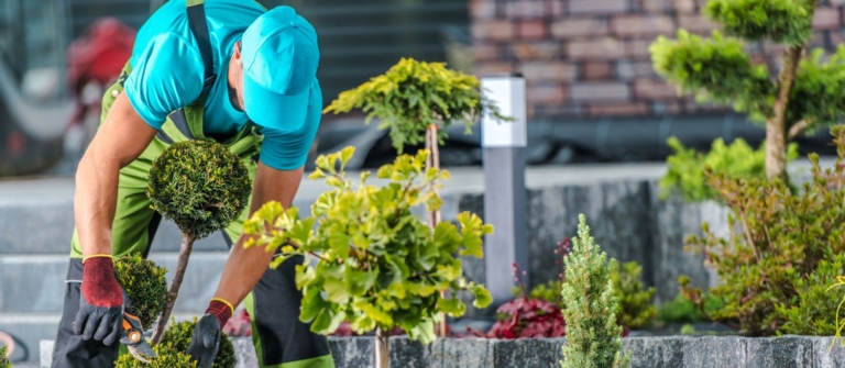 comment devenir paysagiste ?