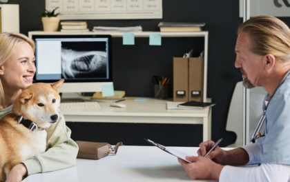 Comptabilité du vétérinaire : comment gérer votre activité libérale ?