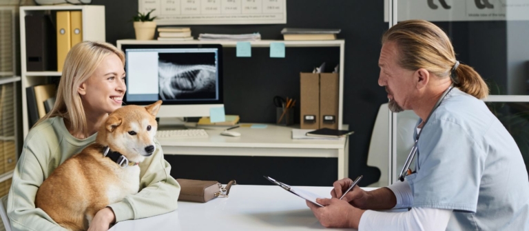 Tout ce qu'il faut savoir sur la comptabilité du vétérinaire.