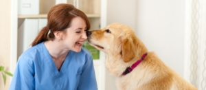 Vétérinaire qui simplifie la gestion de sa comptabilité avec Indy.