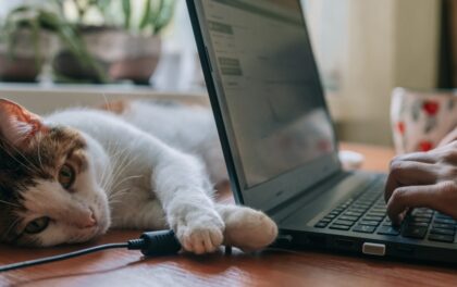 Les obligations comptables en SARL