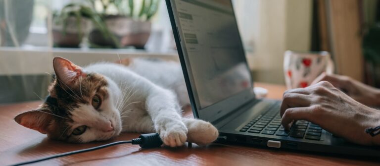 Les obligations comptables des SARL