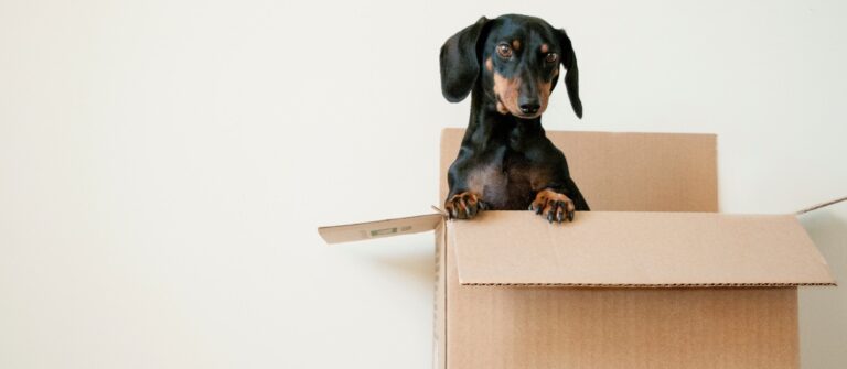 organiser son déménagement