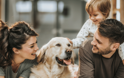 Comment déterminer l’objet social de sa SCI ?