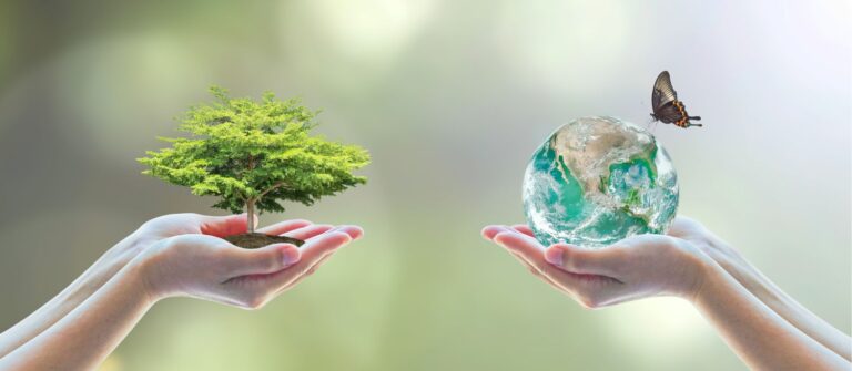 La RSE est-elle obligatoire pour les entreprises françaises ?