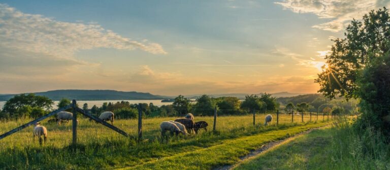 Le déficit foncier en SCI