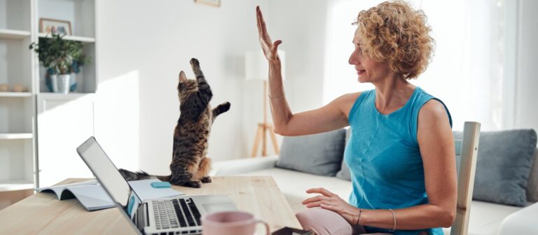 Les taxes en entreprise : comment s'y retrouver ?