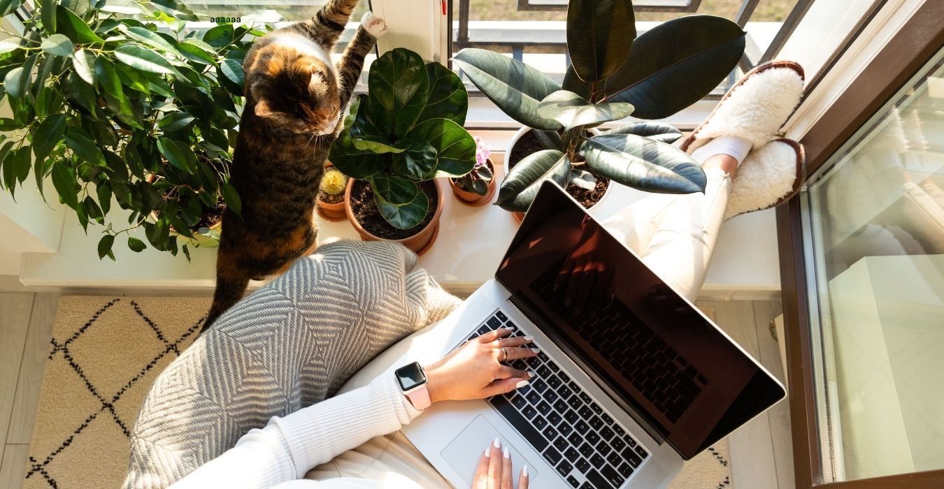 travailler en entreprise individuelle à l'ir ou à l'is